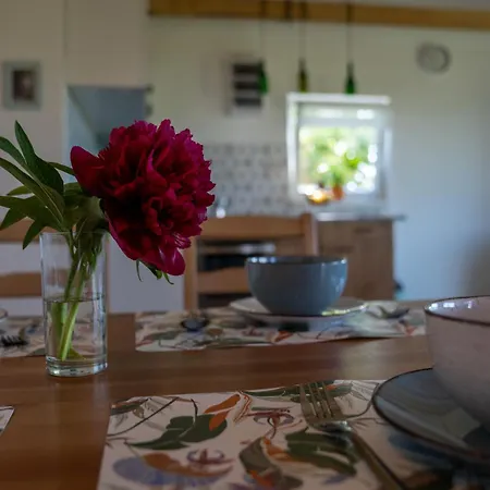 Haziko A Domboldalon *